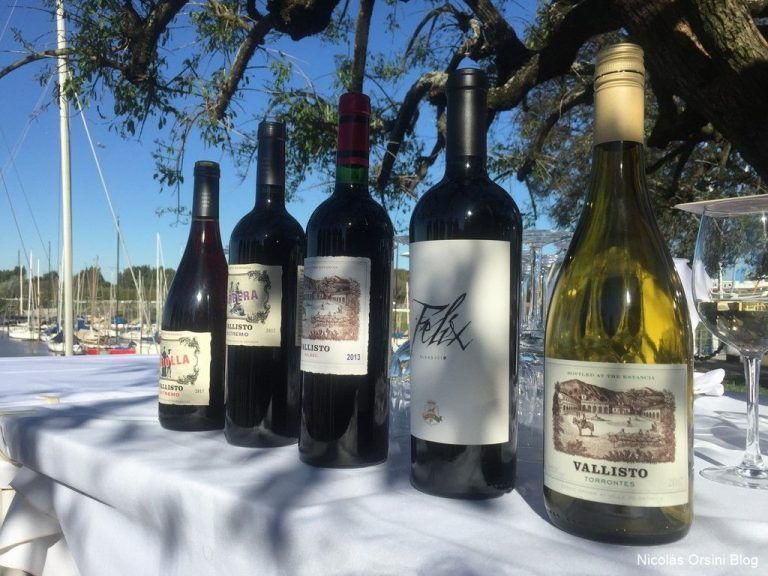 Probando los vinos de Vallisto