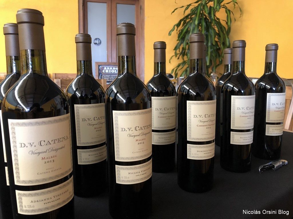 Single Vineyards de D.V Catena