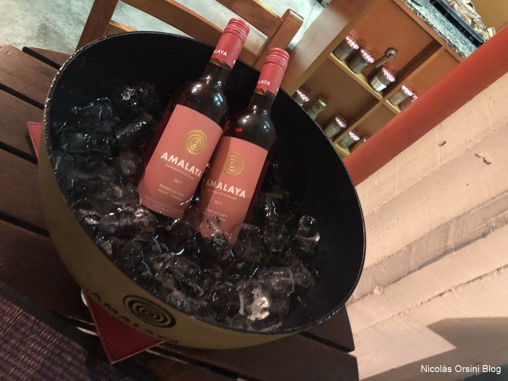 Bodega Amalaya