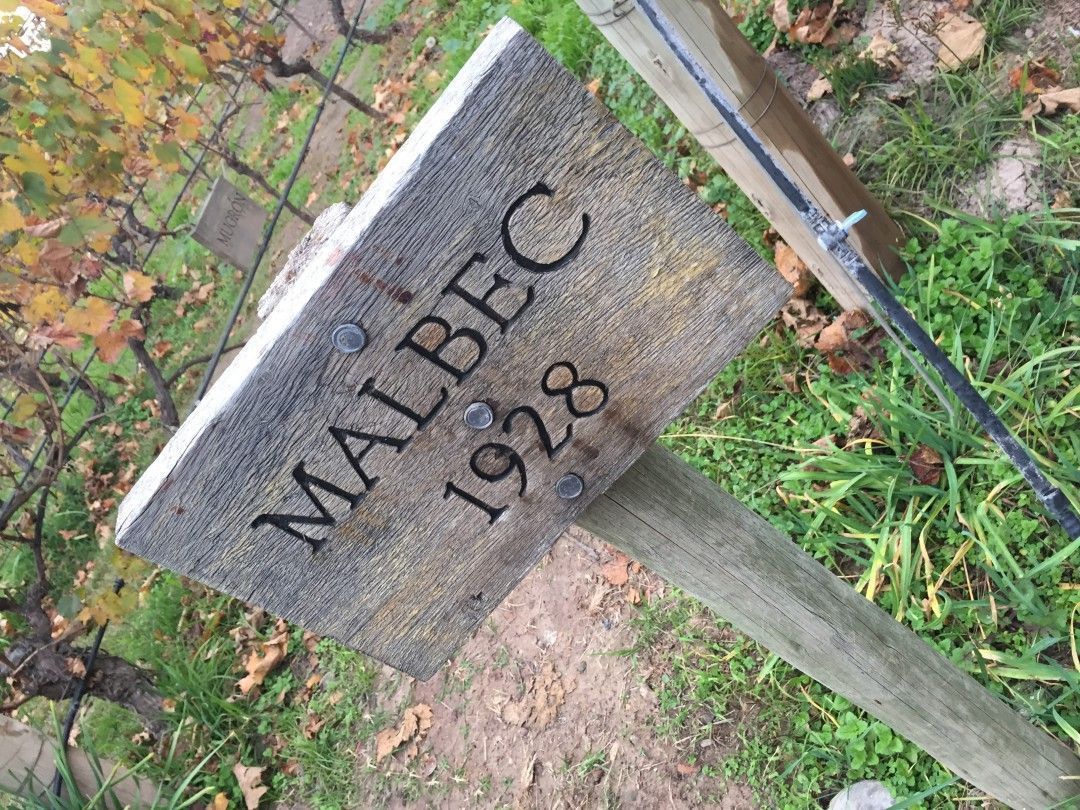 Malbec World Day