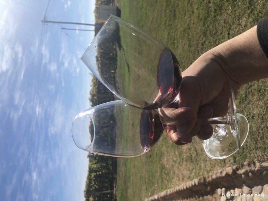 #MrWinesTour 2018 – El Resumen