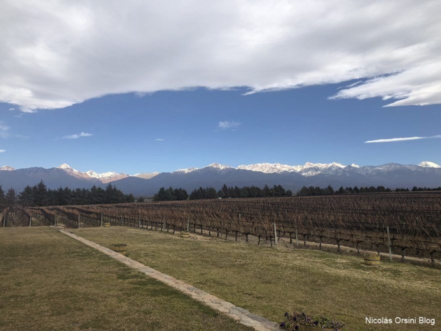 De visita en Bodega Andeluna