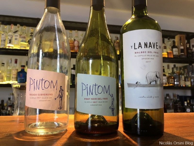 Los vinos de Gabriel Dvoskin