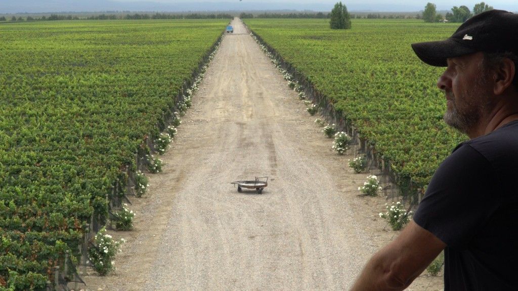 El Korol del vino