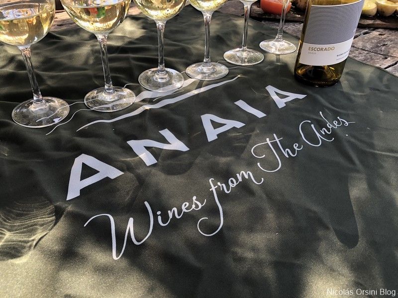 Anaia Wines