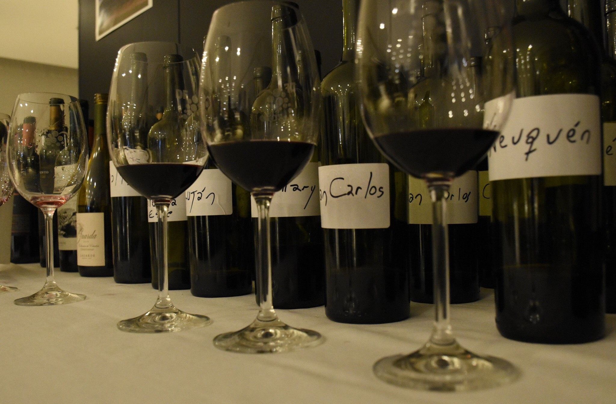 Los seminarios del Desafío Federal Malbec (PH: Fernanda de @efefotos_)