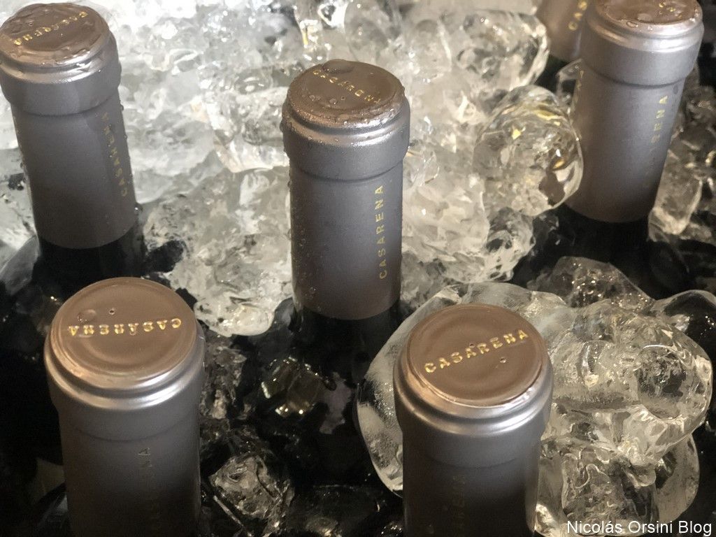 Casarena Tasting Day