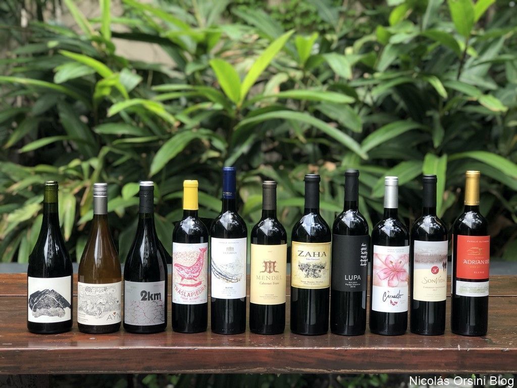 Encuentro Anual PIPA