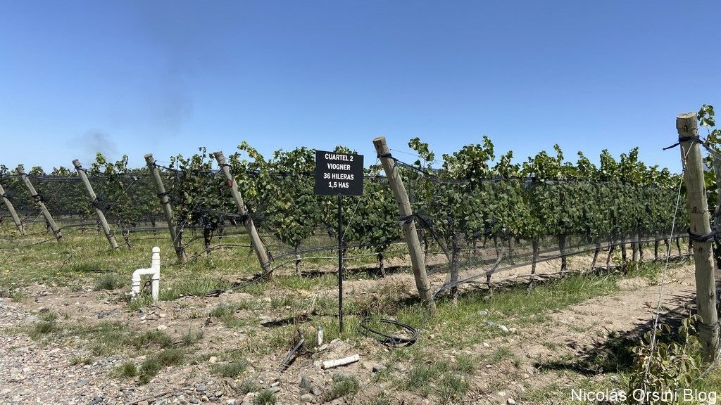 Bodega Domaine Bousquet