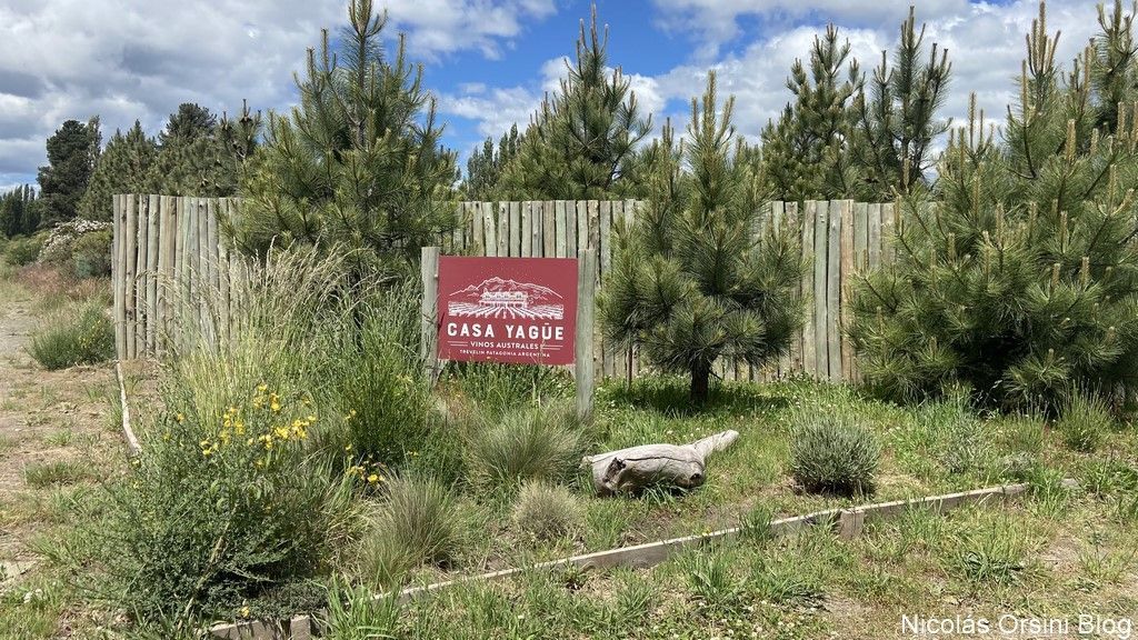 De visita en Casa Yagüe