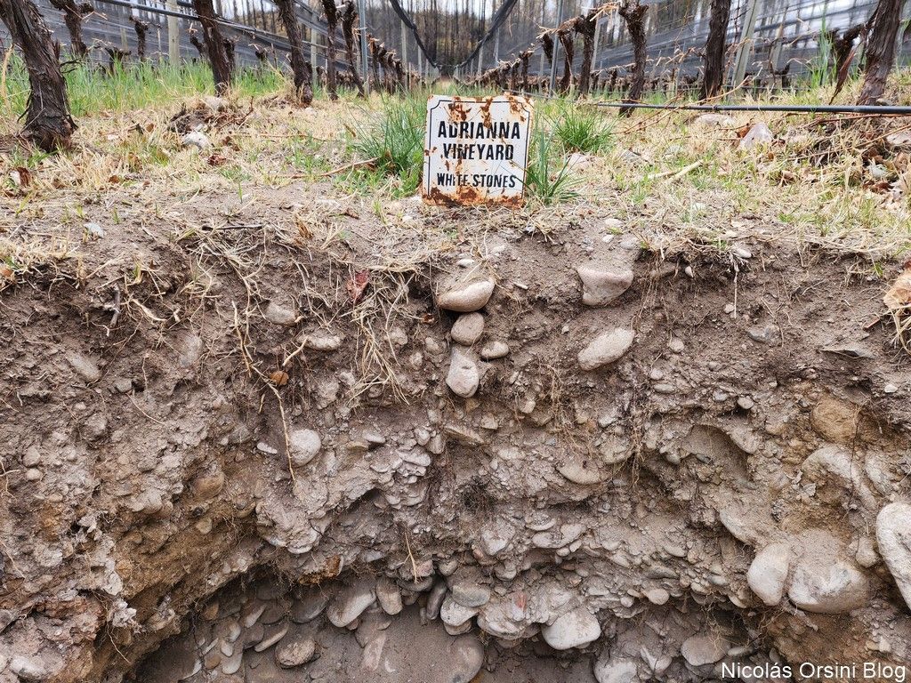 Parcela de White Stones