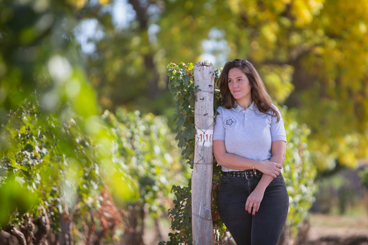 Cambios en Martino Wines