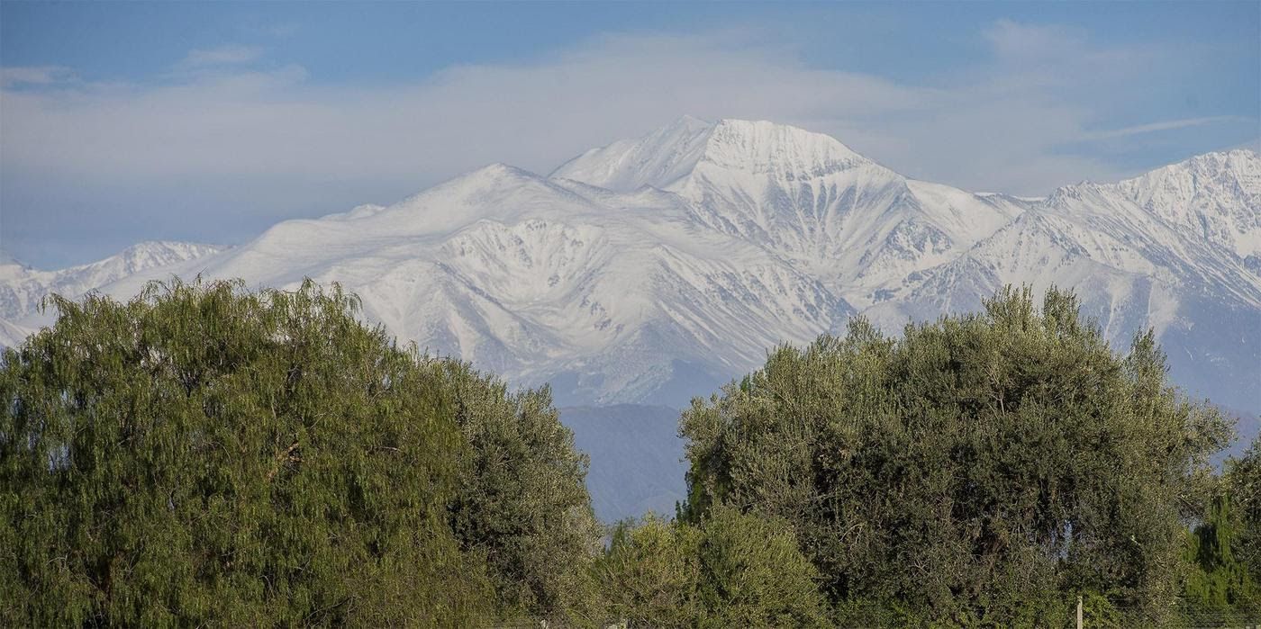 Mendoza a través de sus vinos y gastronomía