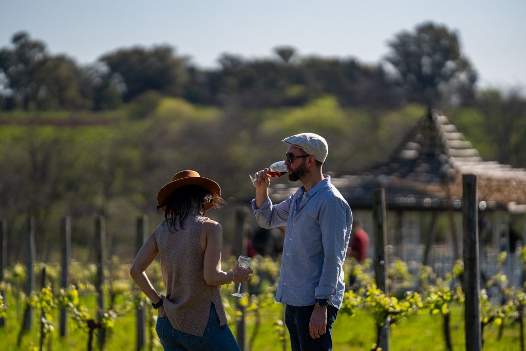 Se viene el IV Encuentro Federal de Vinos en Bodega Gamboa
