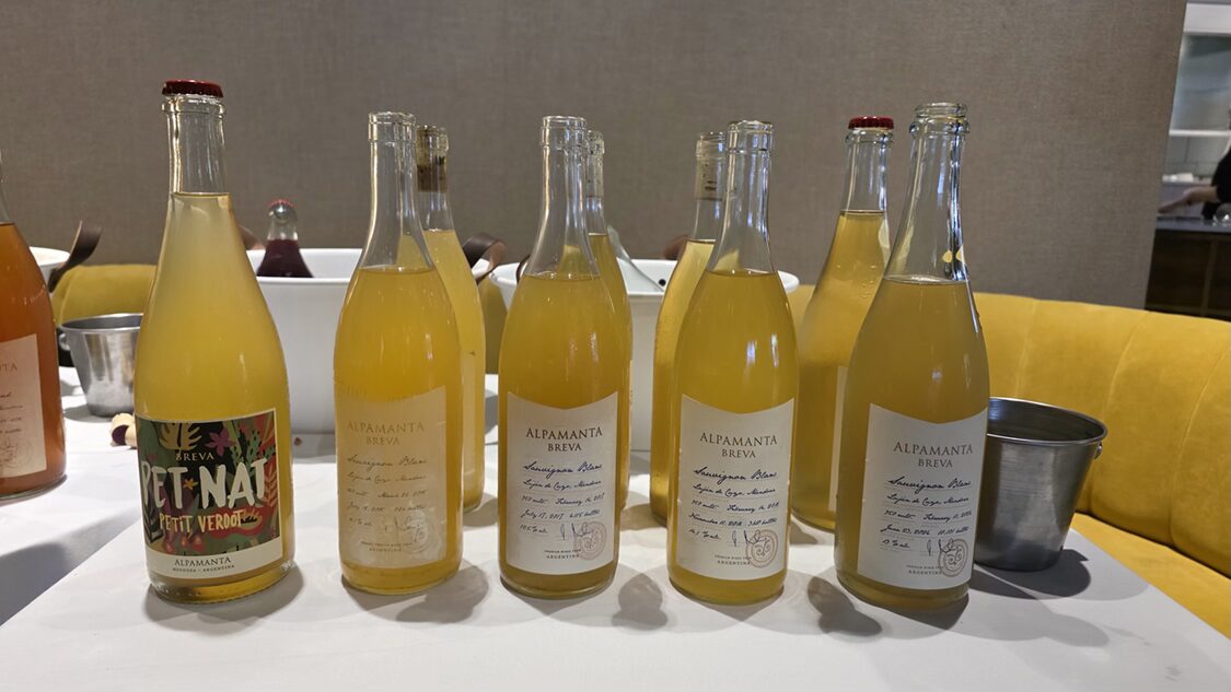 Breva Sauvignon Blanc