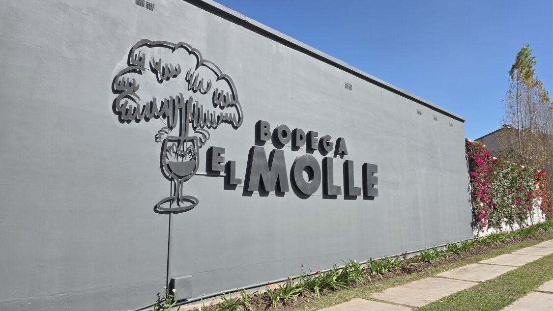 Bodega El Molle