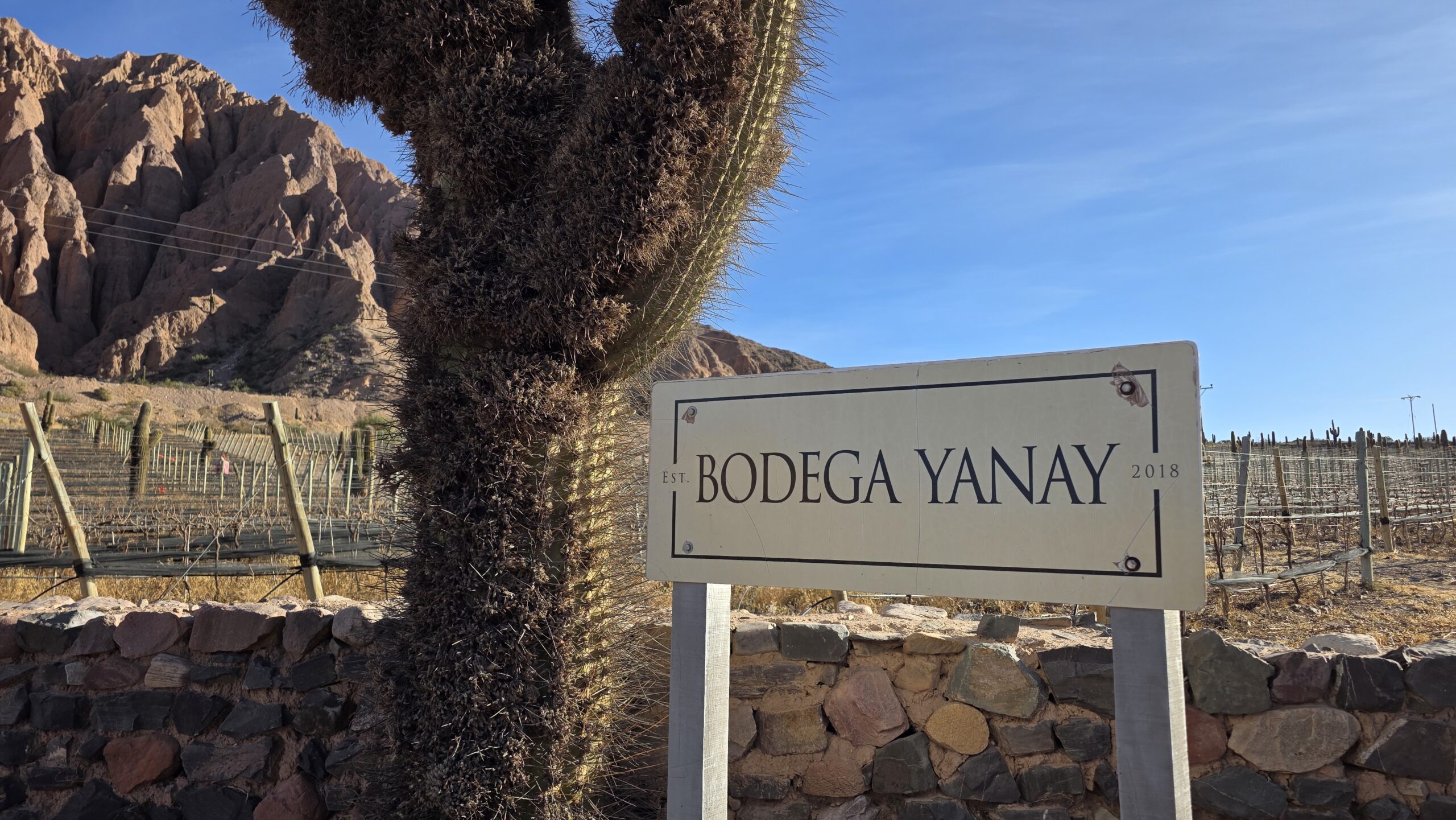 Bodega Yanay