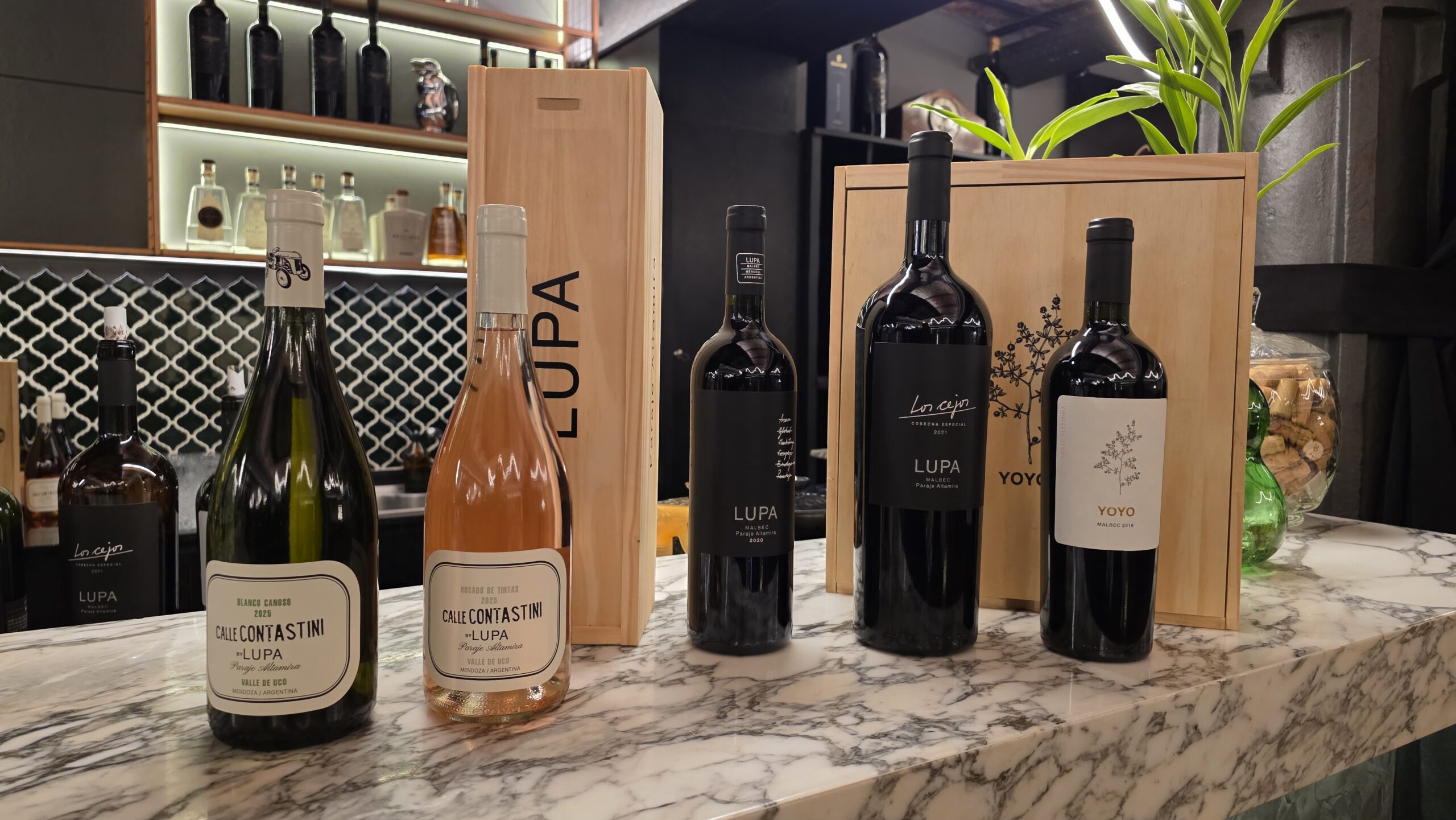 LUPA Wines