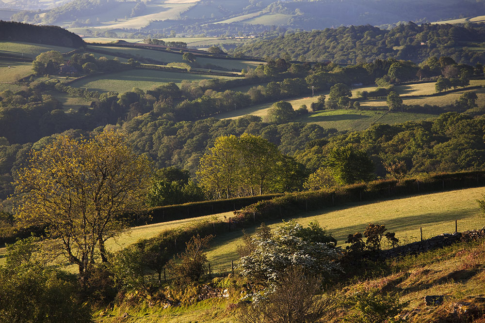 Dartmoor in Spring Photography workshop
