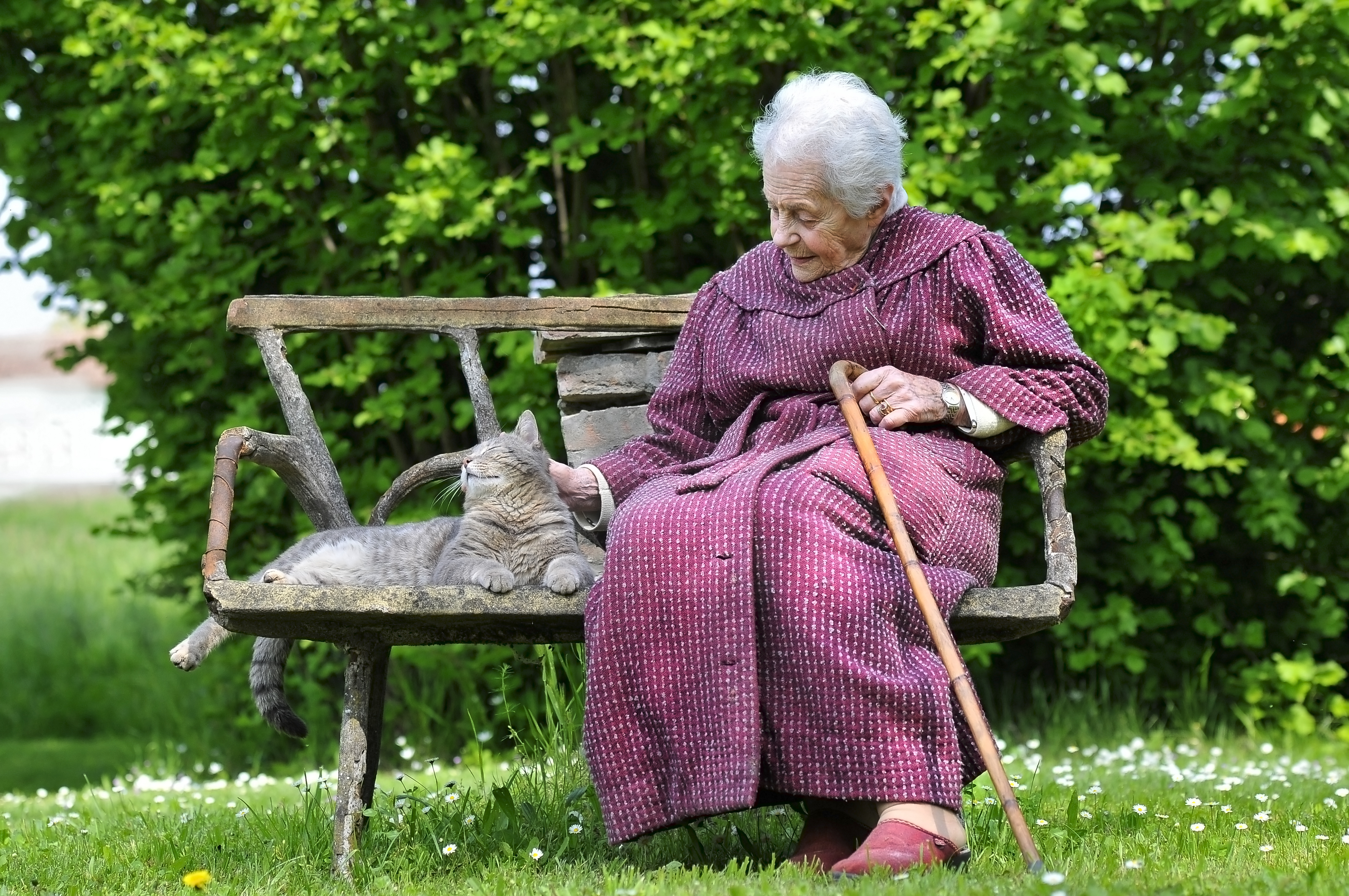 Old Gray Lady