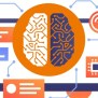 Machine Learning Algorithms Explained | Nile Bits