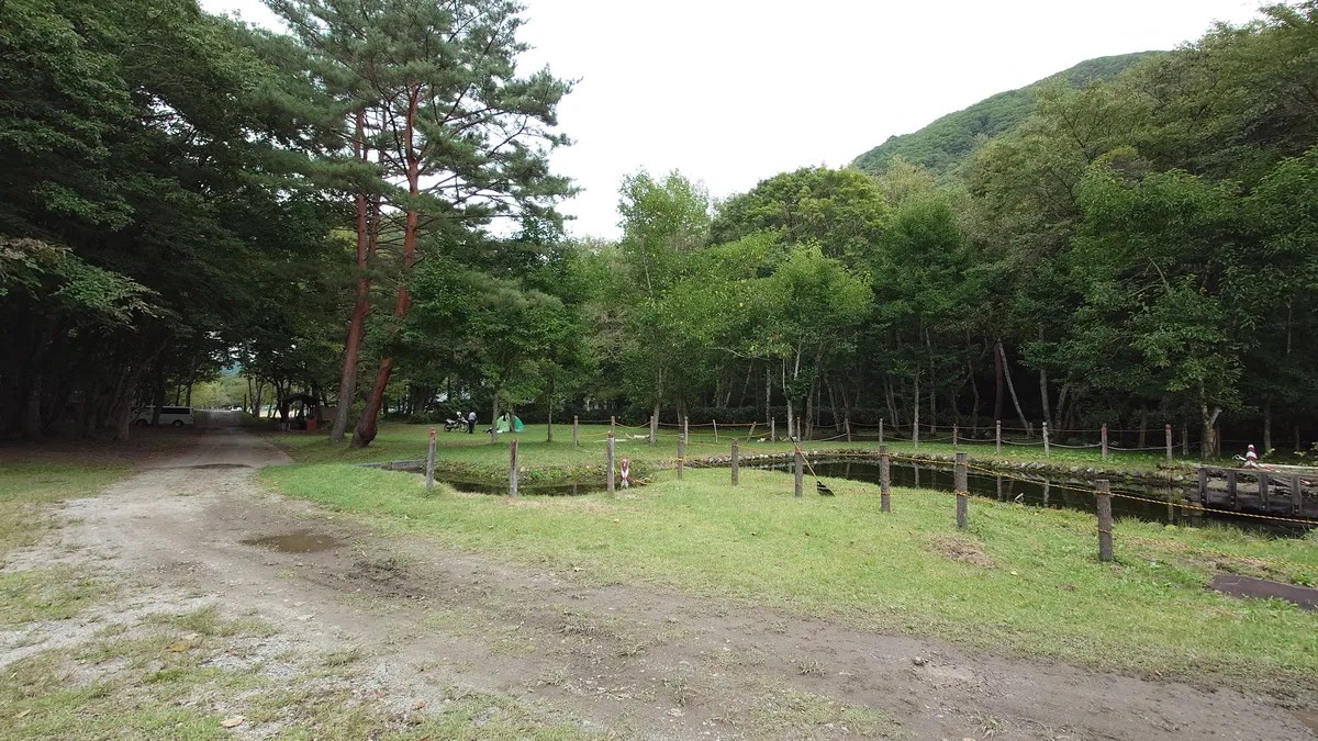 しらかば公園キャンプ場フリーサイト