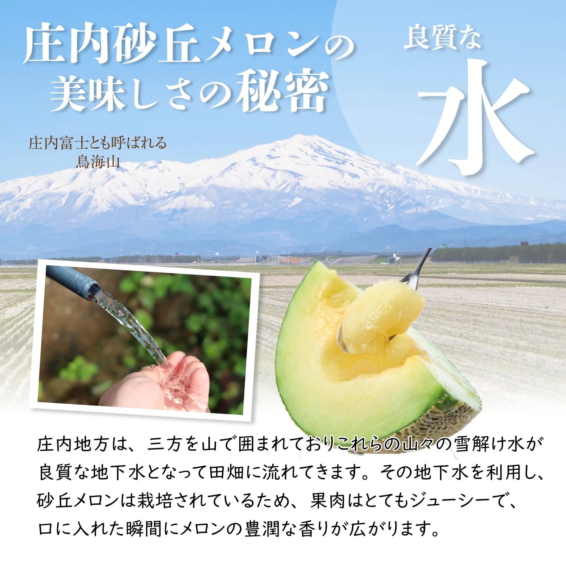 お徳用 庄内砂丘メロン（アンデス青肉 約5kg 3〜5個目安