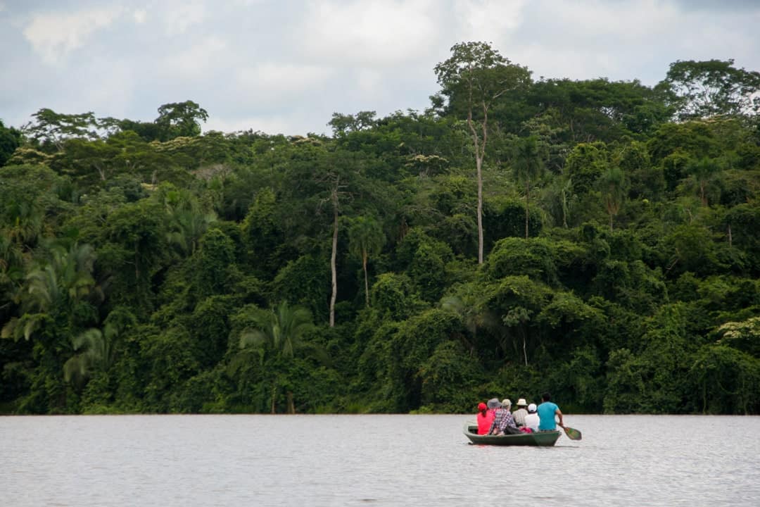 10 BEST Places to Visit in Venezuela in 2026 (Plus Tips) 5 The Amazon Rainforest - Places To Visit In Venezuela
