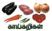 noolagam tamil kids page tamil classes for kids tamil kathai coloring pages writing skill sheets preschool tamil kavithai tamil kids stories learn tamil letters