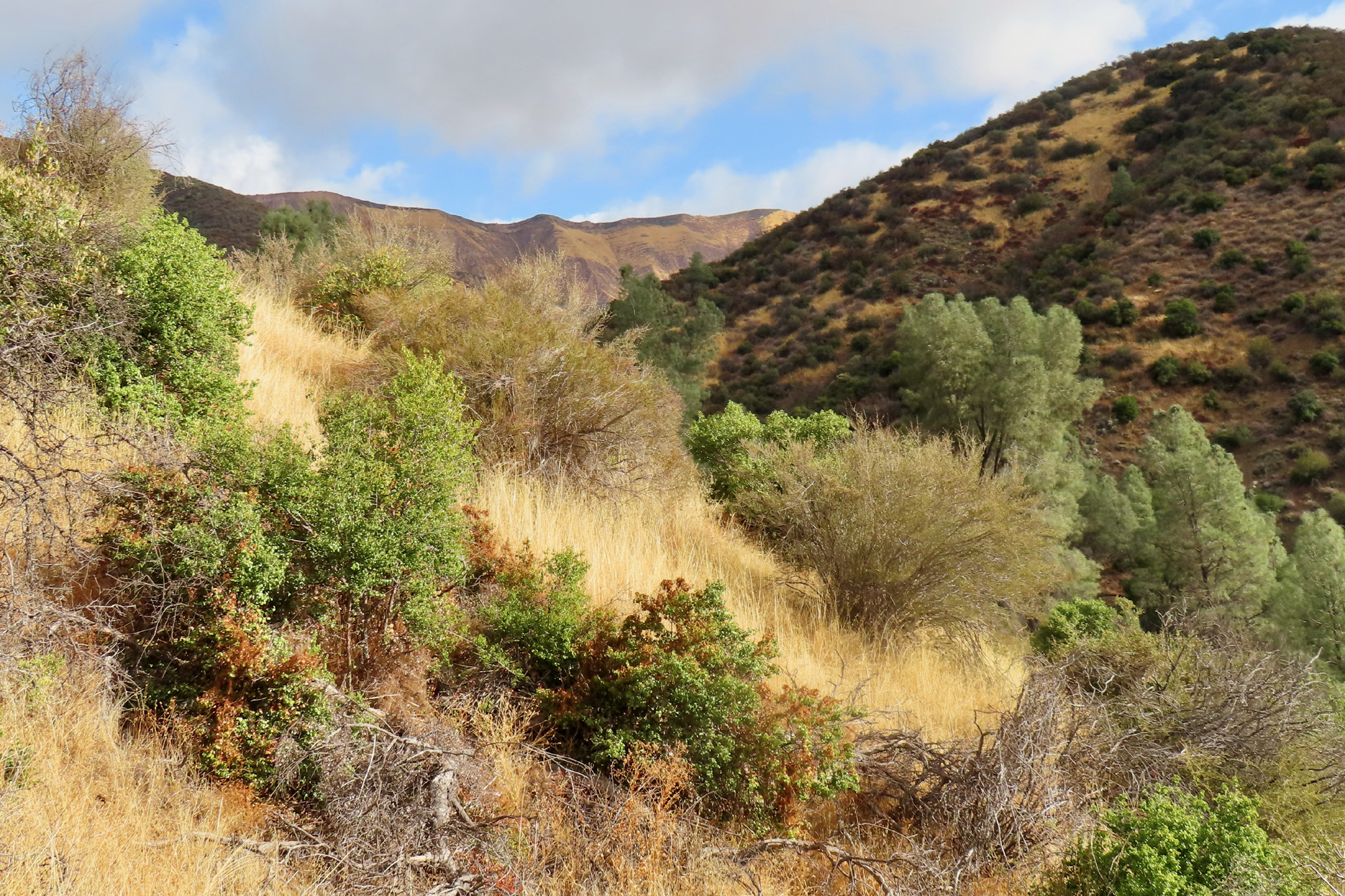 The Hurricane Deck from the Potrero Trail.