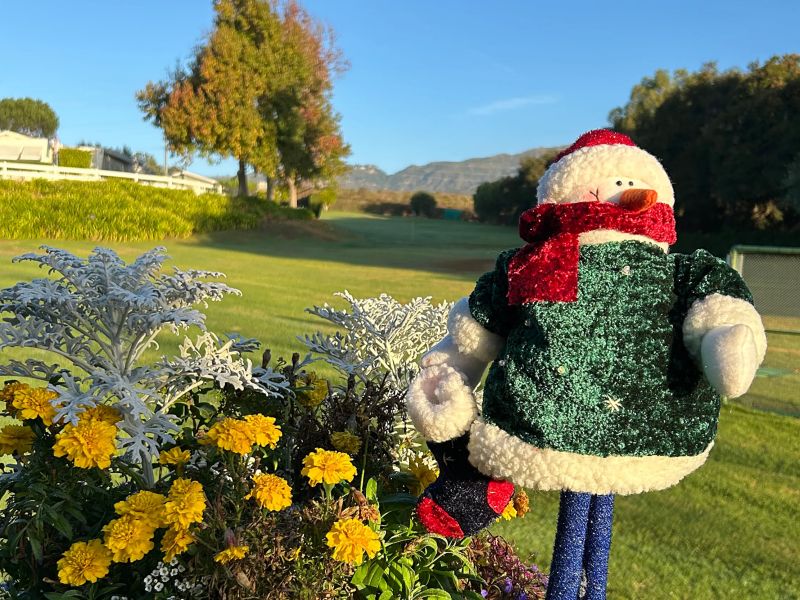 Winter in Santa Barbara.