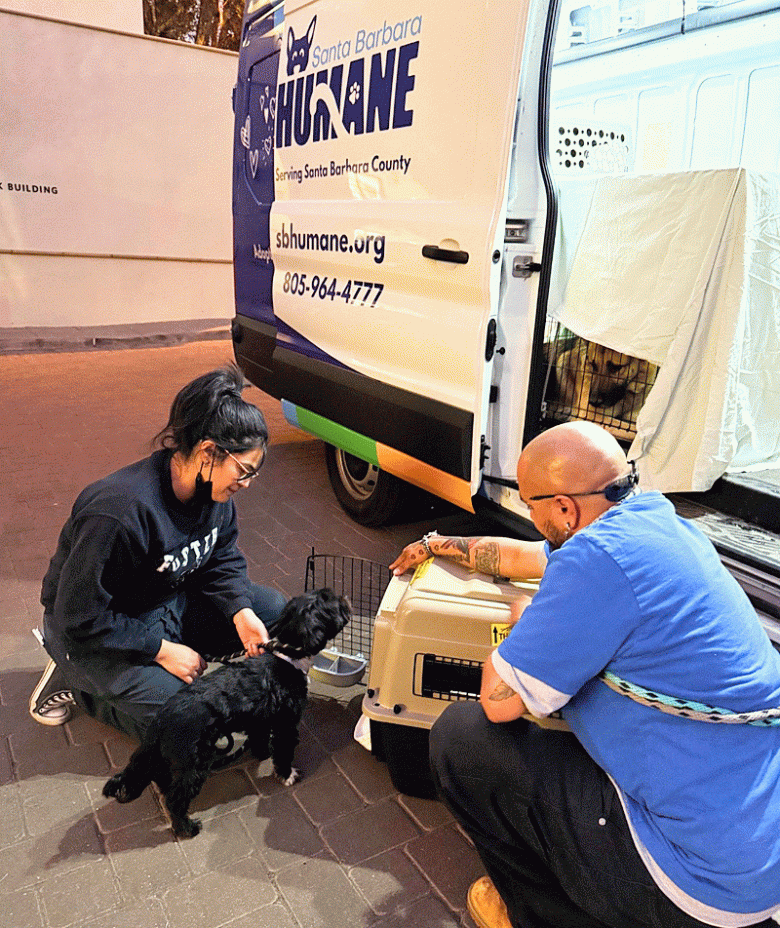 Santa Barbara Humane workers help a small black dog into a kennel; a white Santa Barbara Humane van with blue lettering is in the background. (Courtesy photo)