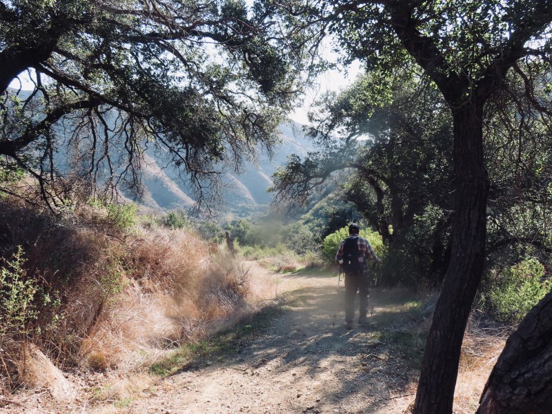 On the Arroyo Quemado Trail.