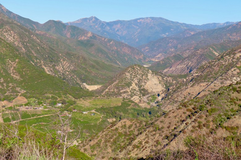 Orchard farming and the defunct Matilija Dam.