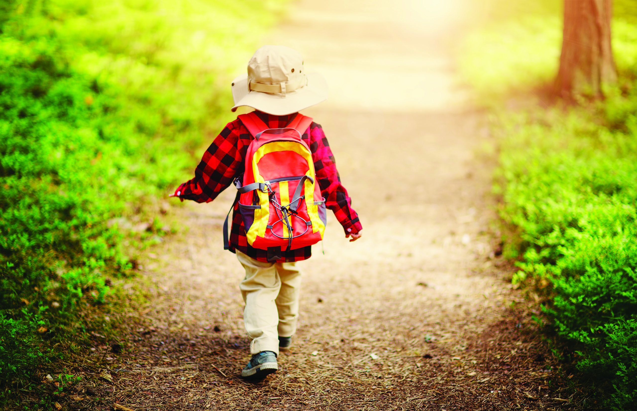 boy going camping in nature. With backpack walking in the forest.