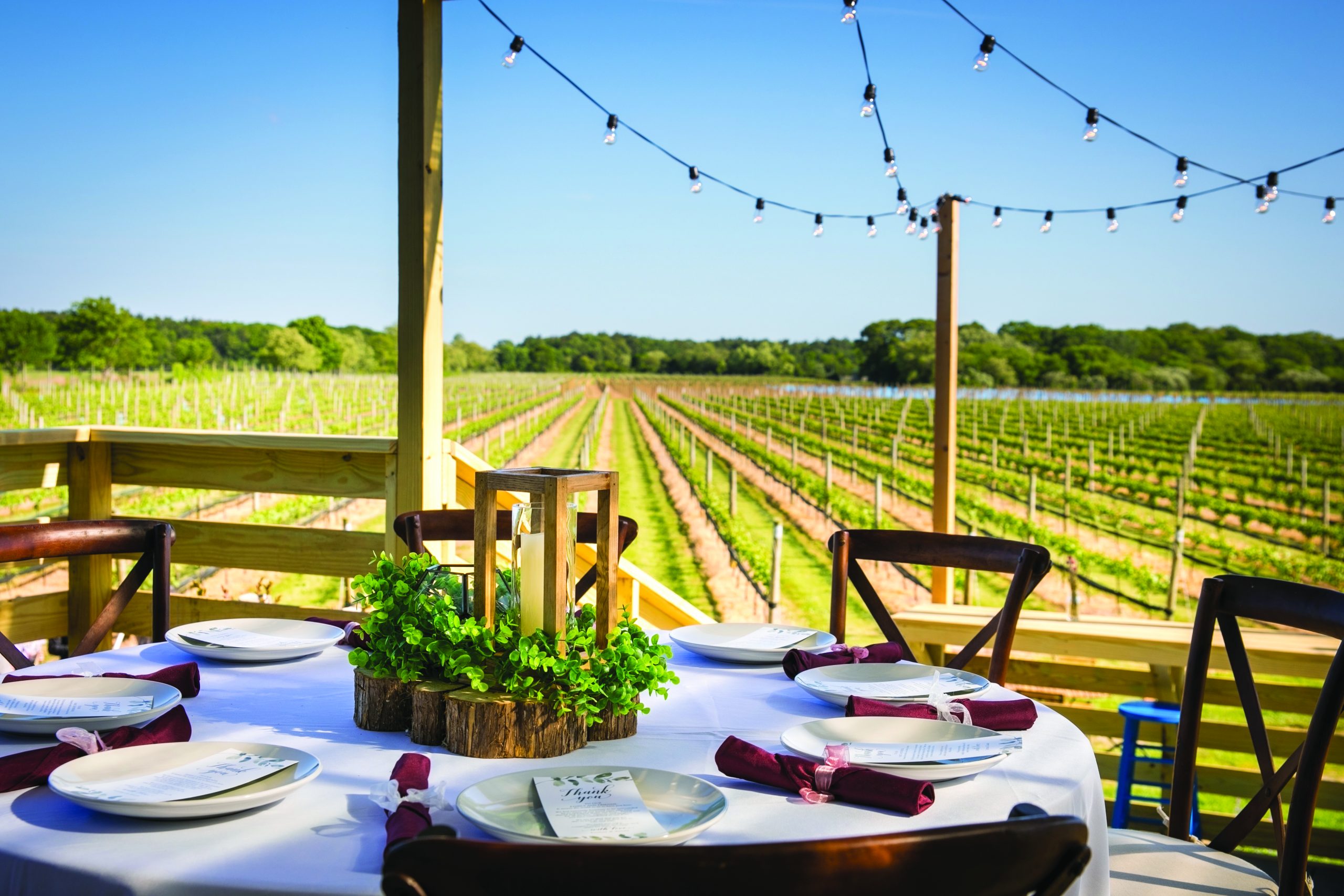 Table in a beautiful vineyard wedding during daylight