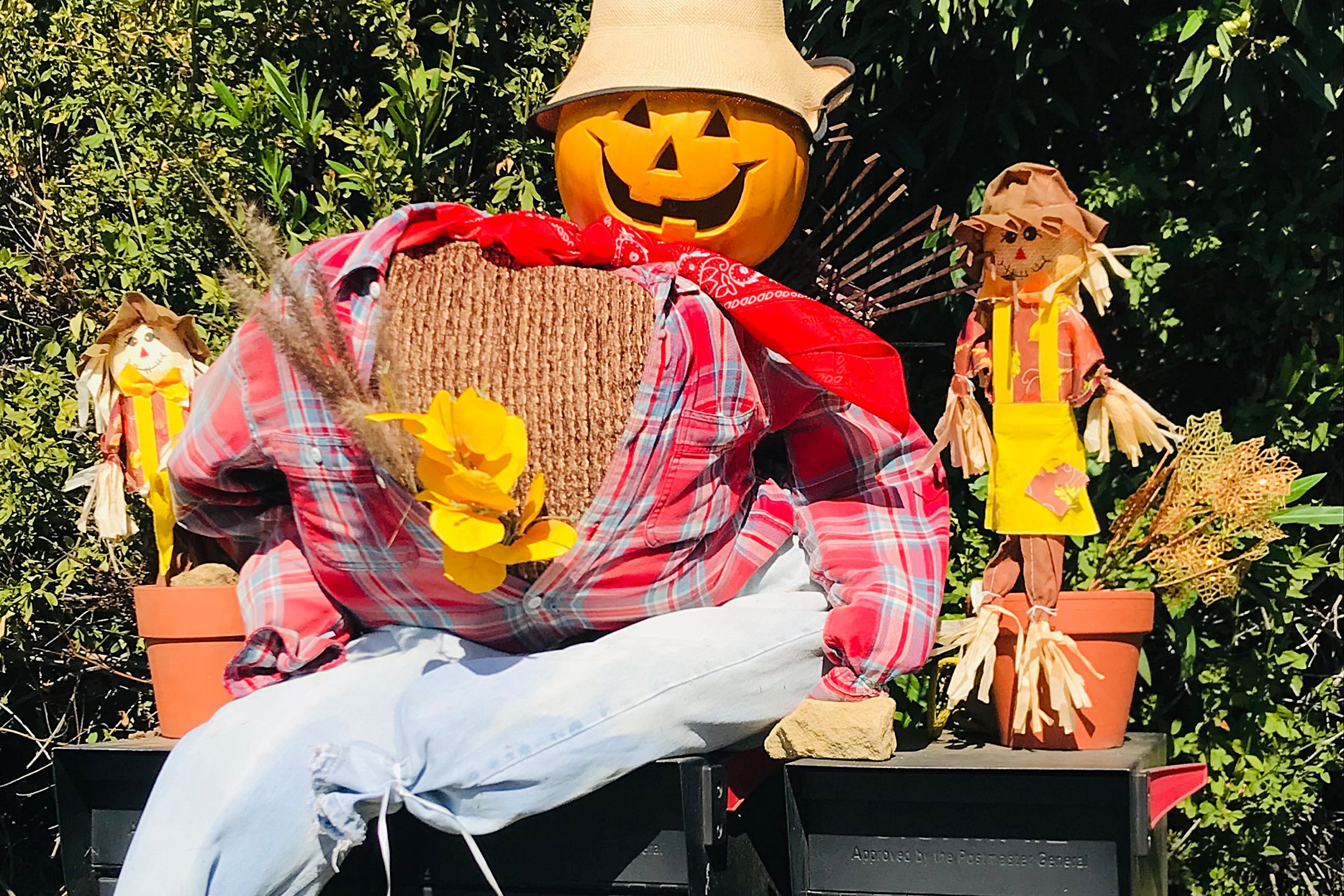 Scarecrow Season