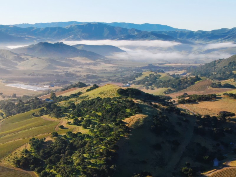 A view of the Sta. Rita Hills AVA, famed for its cool-climate pinot noir and chardonnay, as well as other several other grape varietals.