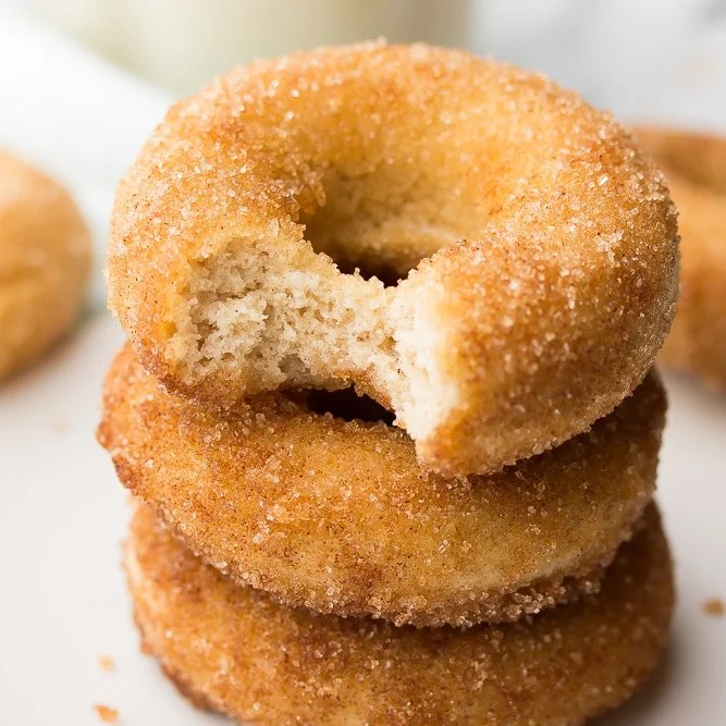 pix Vegan Donuts Near Me cinnamon sugar vegan donuts