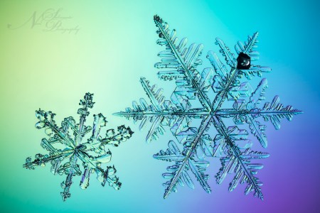 Snow Crystal 20170207-0211, 十勝岳吹上温泉白銀荘にて雪の結晶撮影