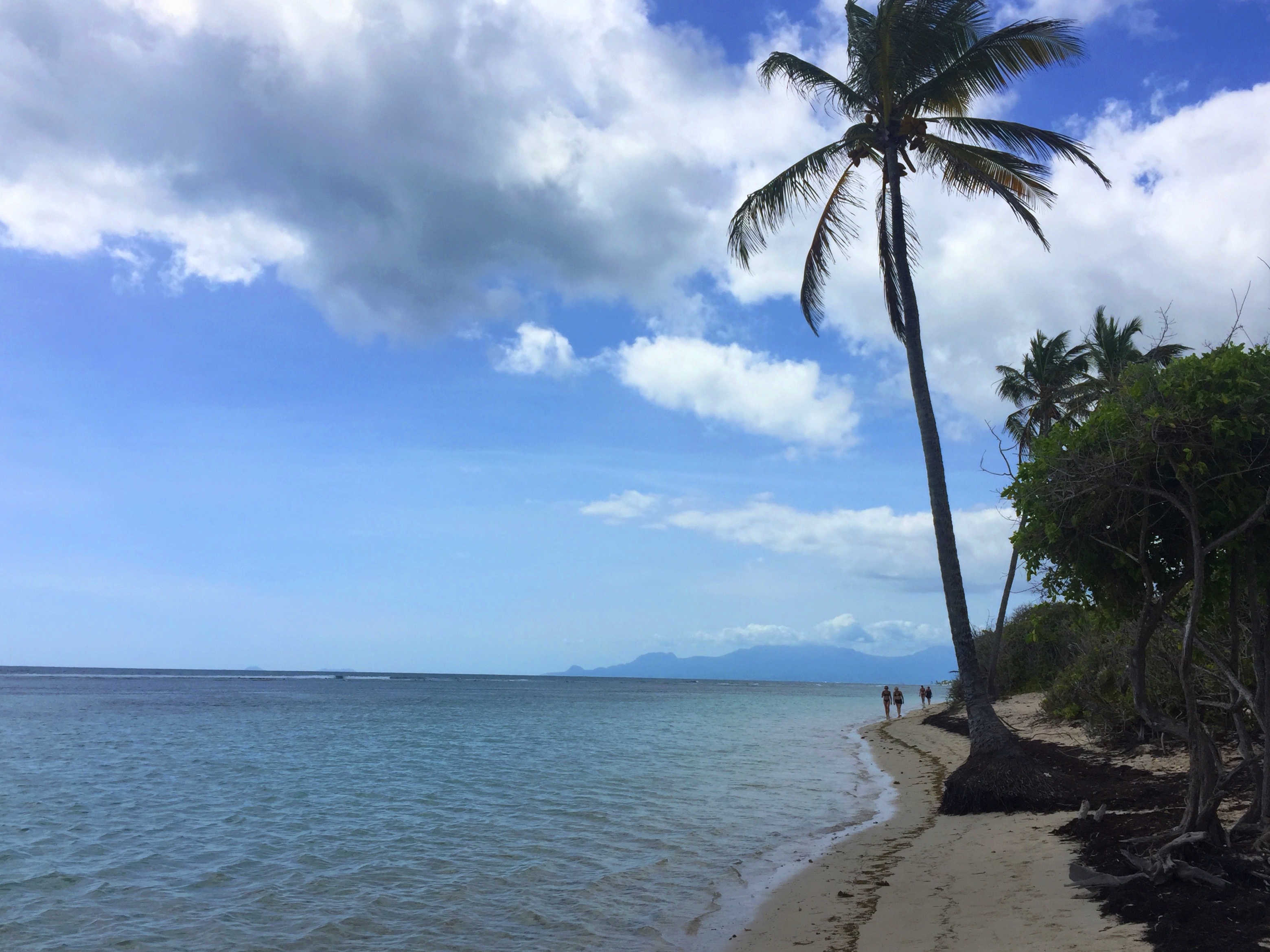 Guadeloupe Beach Guide Must Visit Island Beaches Nothing