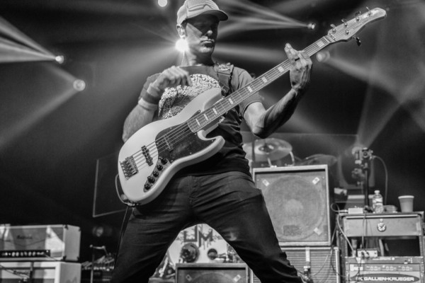 A Raging Bull: An Interview with Ryan Stasik
