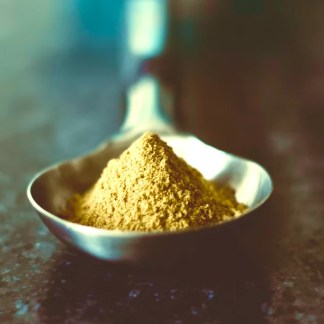 Organic Medicinal Mushroom Powders