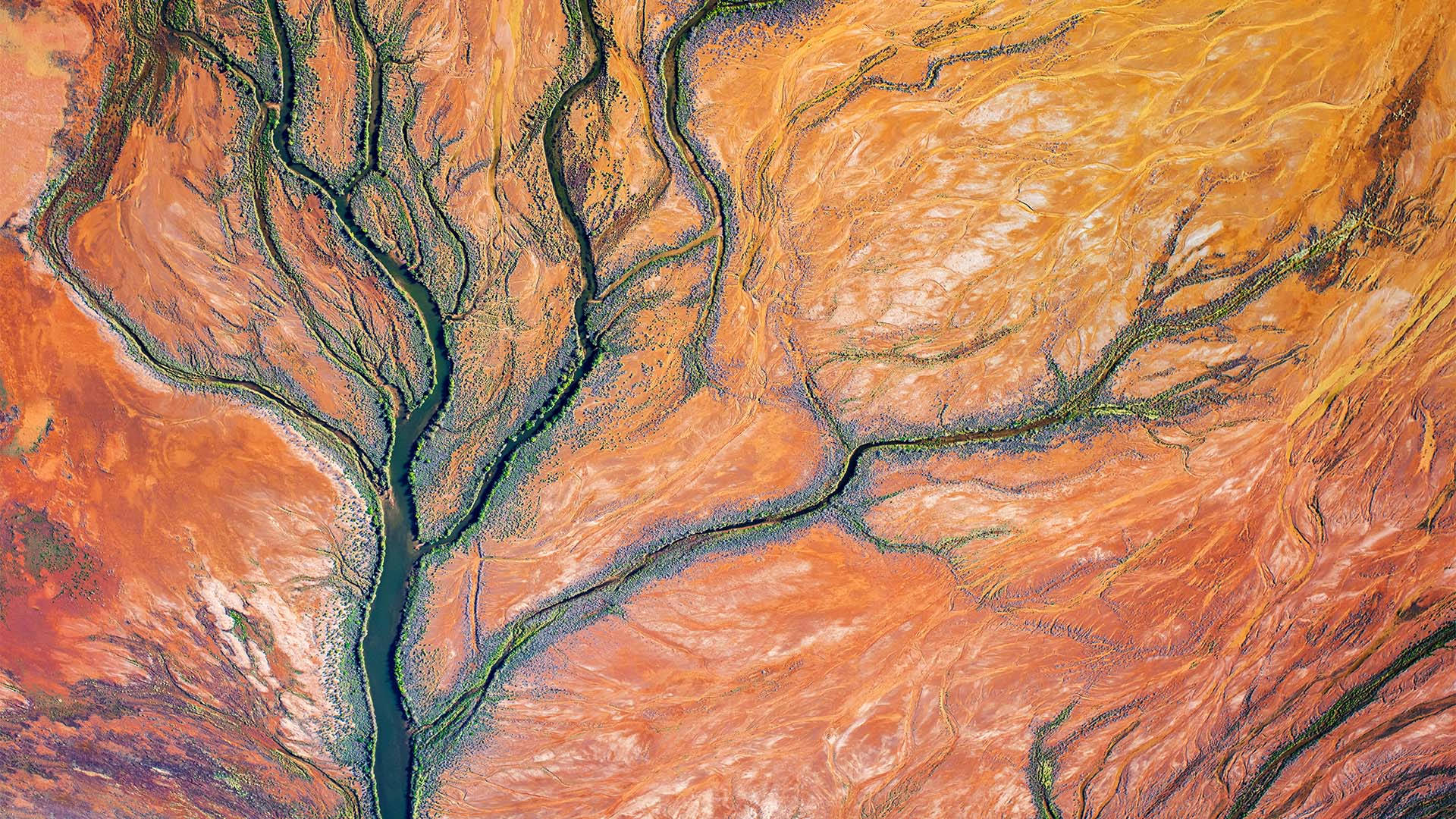 Nova Systems - Premium Vintage Illustration Gallery - 8K