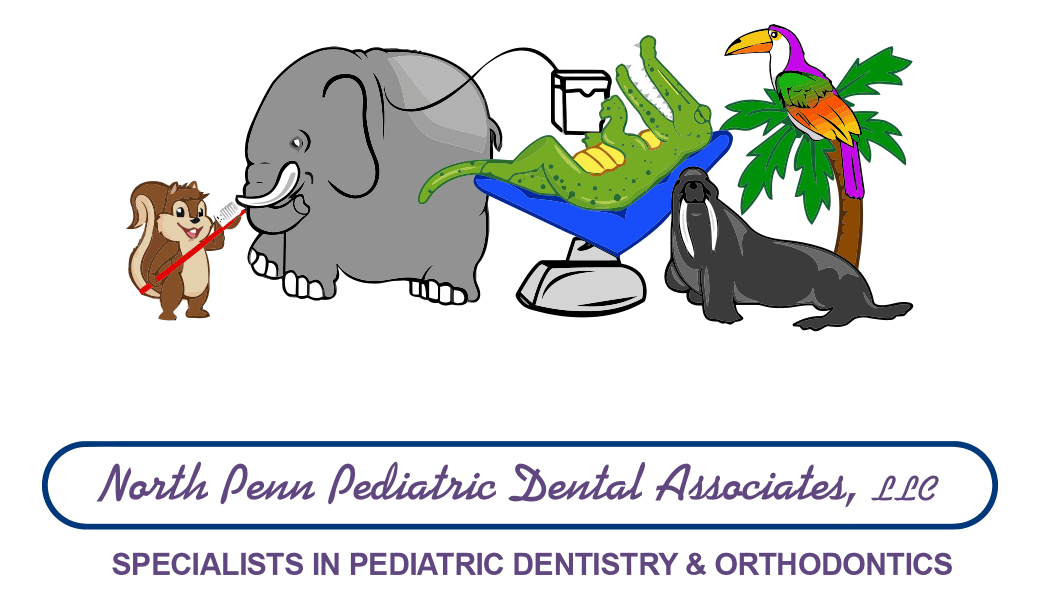 Petunia pig is a looney tunes and merrie melodies character. Dr Lori Herman Orthodontic Specialist Lansdale Pa
