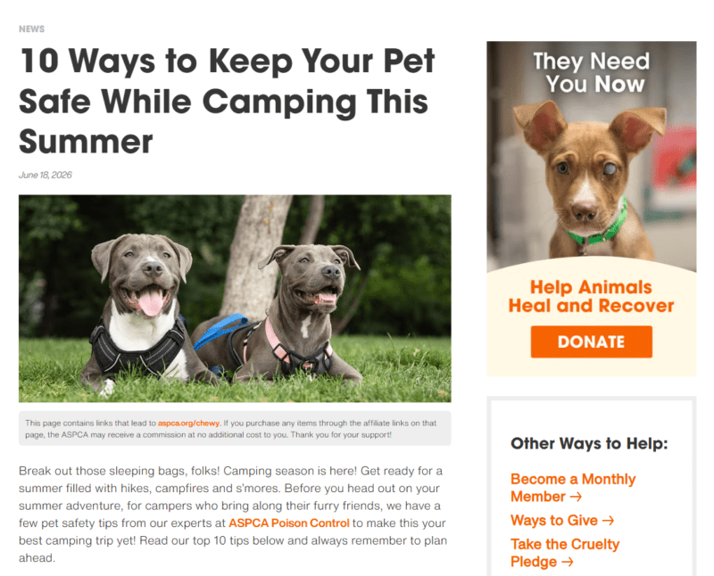 ASPCA blog page titled '10 Ways to Keep Your Pet Safe While Camping This Summer,' dated June 18, 2026, showing two pit bull-type dogs in harnesses on grass.