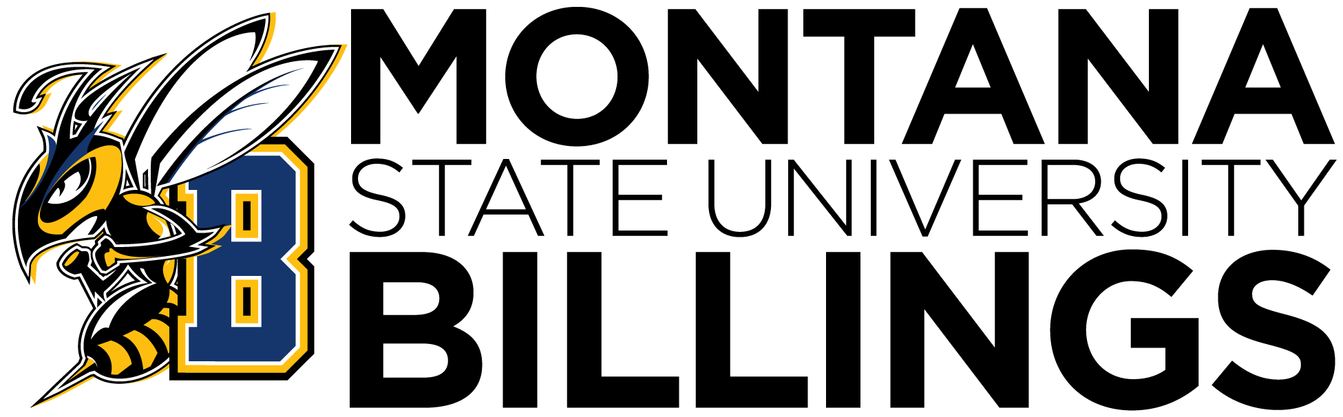 msub-logo-northern-rocky-mountain-educational-research-association