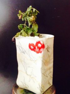 image plant