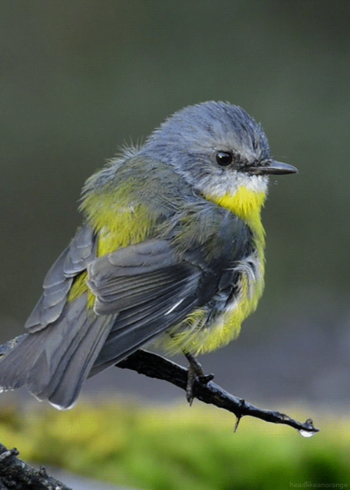18 Gifs Que Nos Muestran La Belleza De La Naturaleza