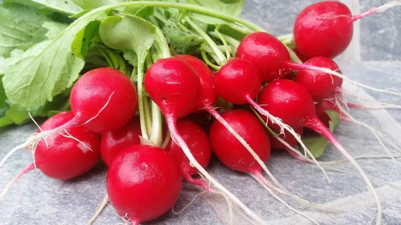 images Red Radish Nutrition health benefits of radishes you might not know about